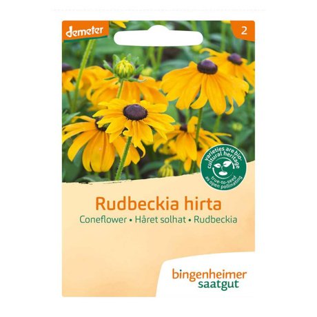 Rudbeckia