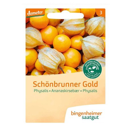 Physalis schonbrunner gold