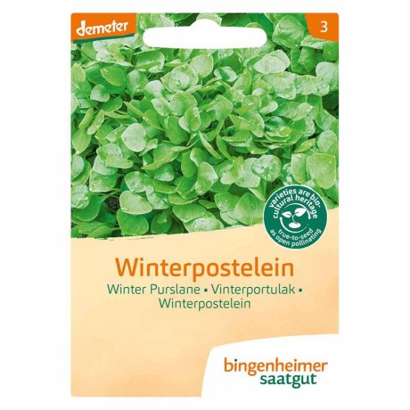 Winterpostelein (zaad)