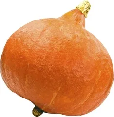 Pompoen oranje per kg